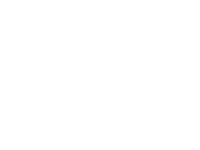 axon