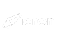 micron