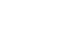 tommy bahama