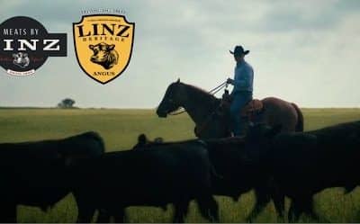 Meats by Linz: Redefining the Conception-to-Plate Experience on Trending Today