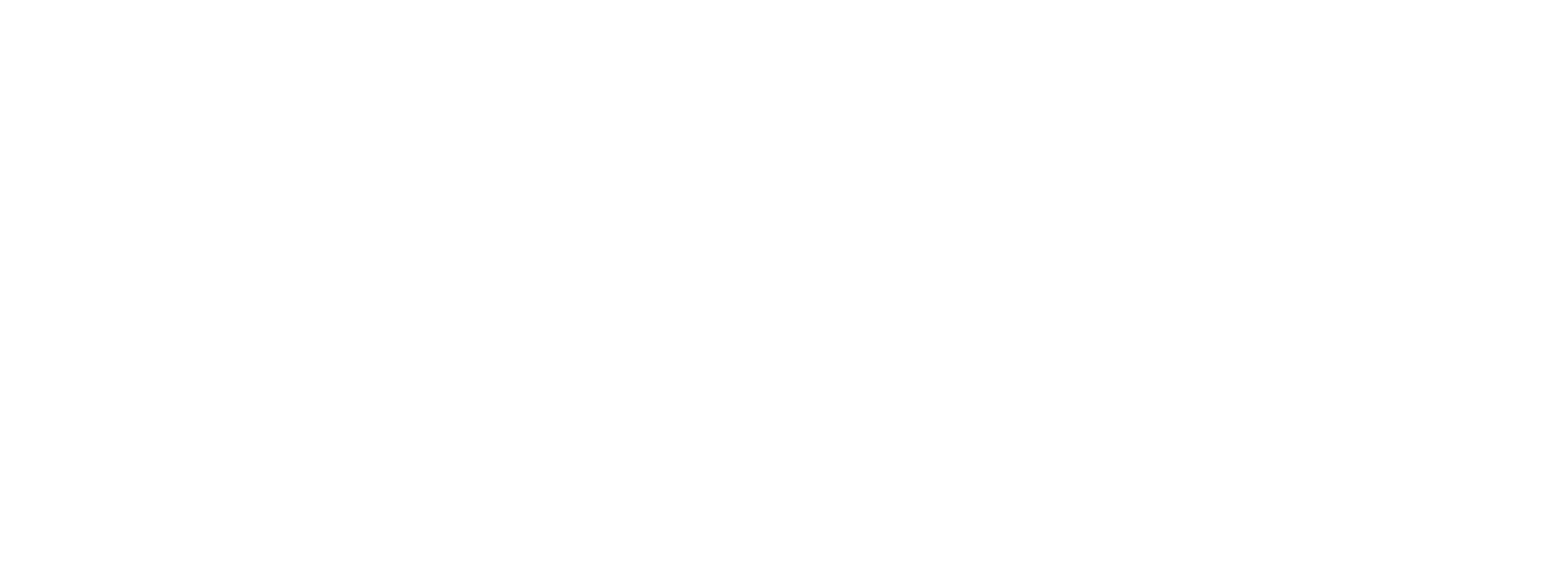 Fender